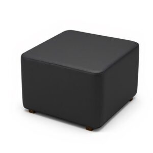 Black Leather Ottoman