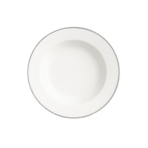 Dinner Plates Silver